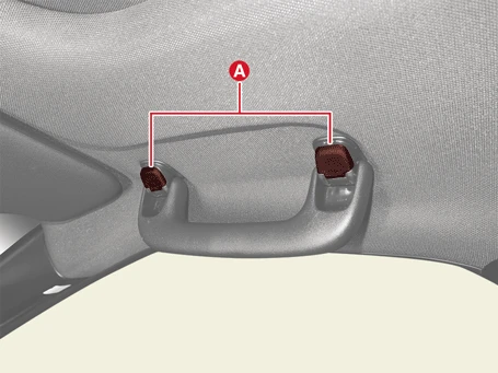 Kia EV6. Assist Handle