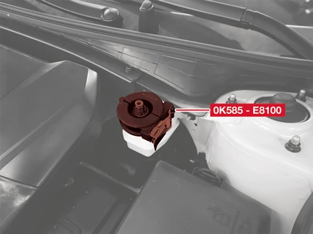 Kia EV6. Brake Fluid