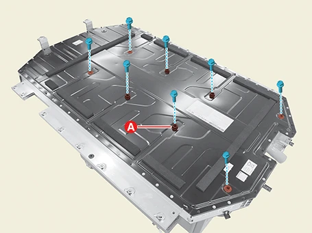 Kia EV6. Case