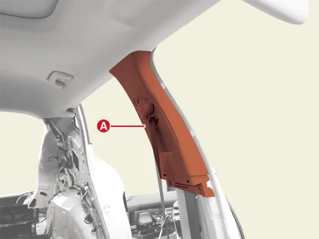 Kia EV6. Center Pillar Trim