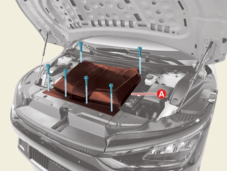 Kia EV6. Front Trunk