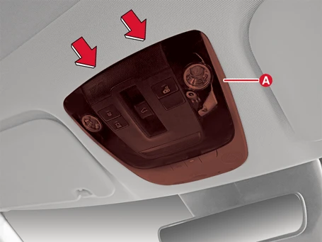 Kia EV6. Overhead Console Lamp