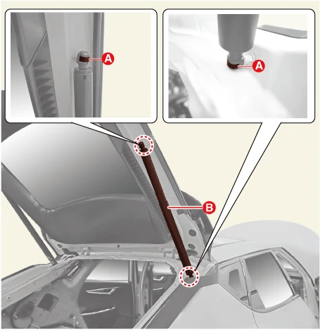 Kia EV6. Power Tailgate Drive Unit