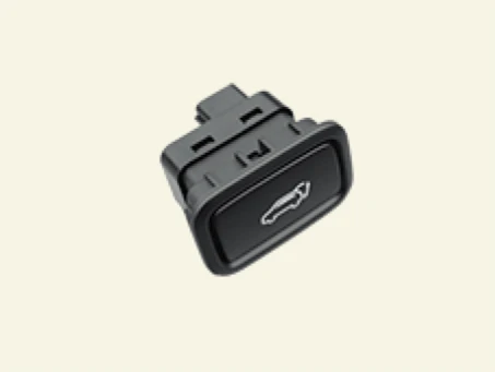 Kia EV6. Power Tailgate Switch