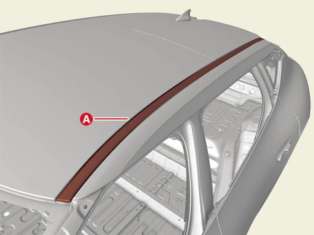 Kia EV6. Roof Side Molding