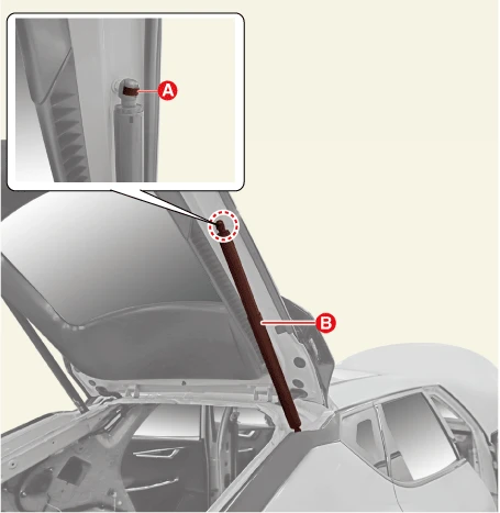 Kia EV6. Tailgate Assembly