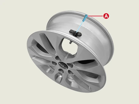 Kia EV6. TPMS Sensor