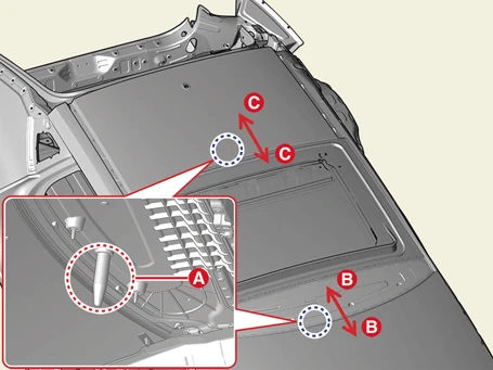 Kia EV6. Wide Sunroof Assembly